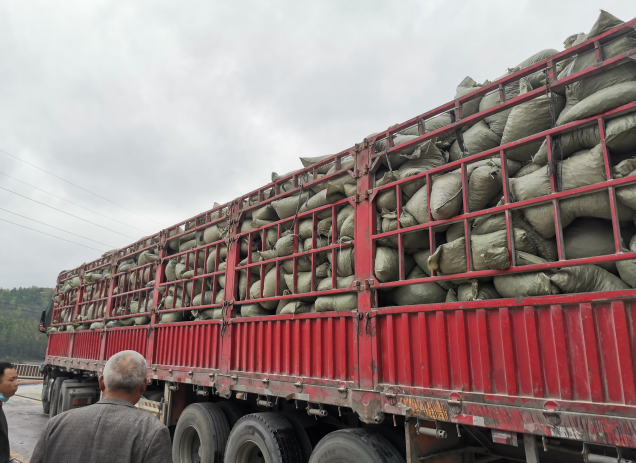 �͑�����