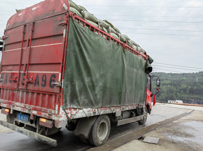 �͑�����