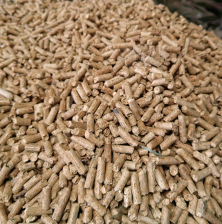 �����|(zh��)�w��