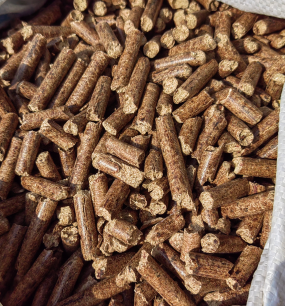 ��(sh��)ľ�w��