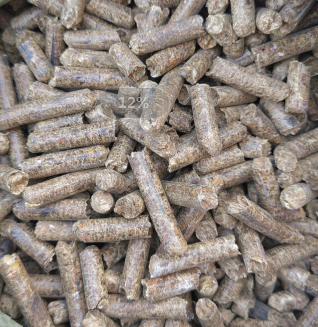 �����|(zh��)�w��