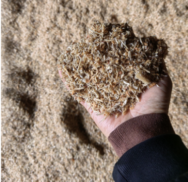 ��ľ�w��ԭ��