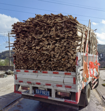 ��ľ�w��ԭ��