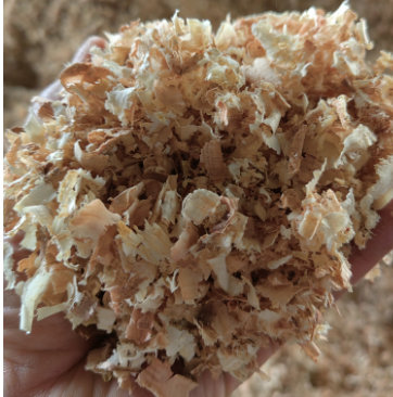 ��ľ�w��ԭ��