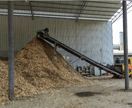 ��ľ�w��ԭ��