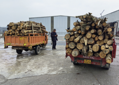 ��ľ�w��ԭ��